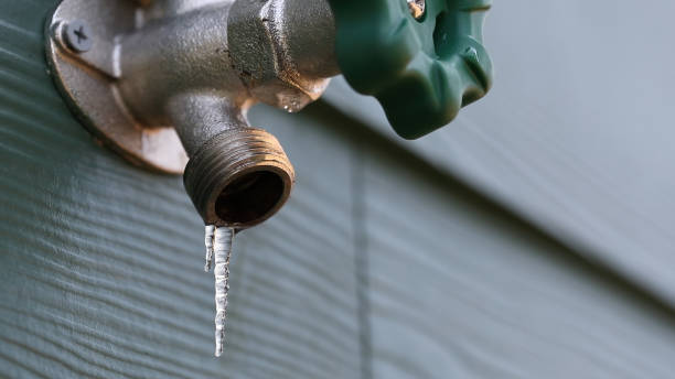 Best Shower Repair Services  in Ballenger Creek, MD